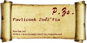 Pavlicsek Zsófia névjegykártya