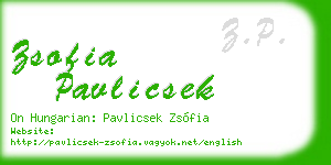 zsofia pavlicsek business card